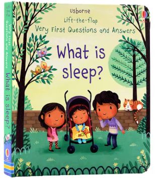 What Is Sleep Book